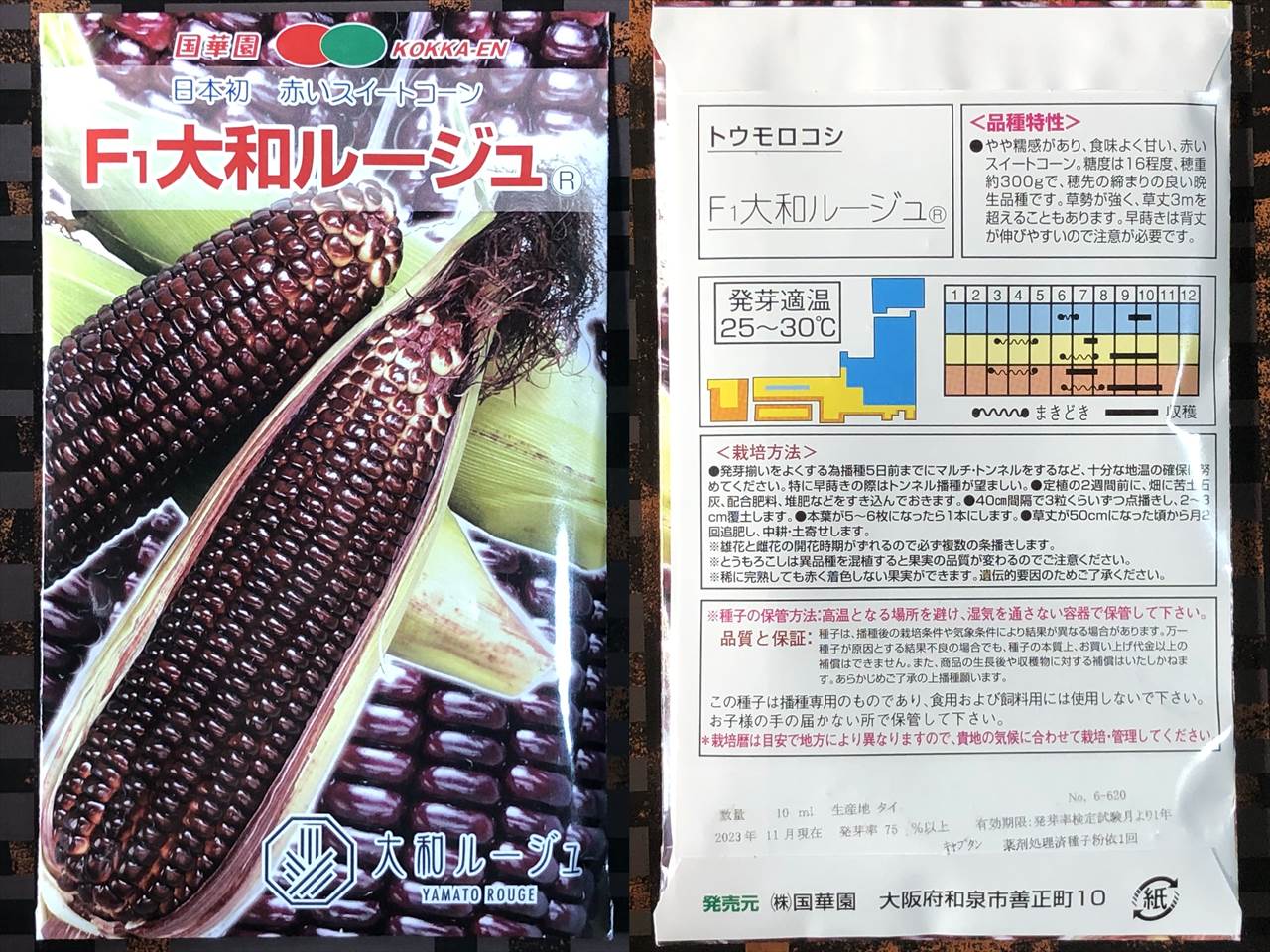 トウモロコシ 大和ルージュ