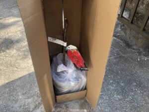 ボタン 牡丹 新七福神